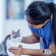 Image for article titled Pros And Cons Of Pet Insurance